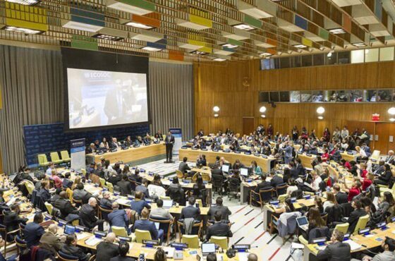 United Nations ECOSOC Grants Special Consultative Status to MICF